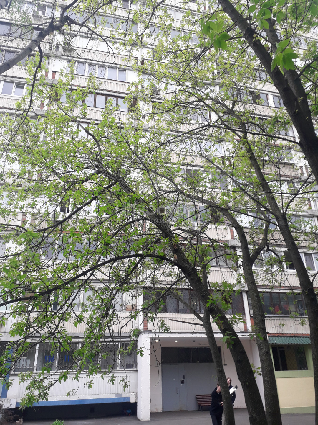 2-комнатная квартира, 51.5 м² - фото 3