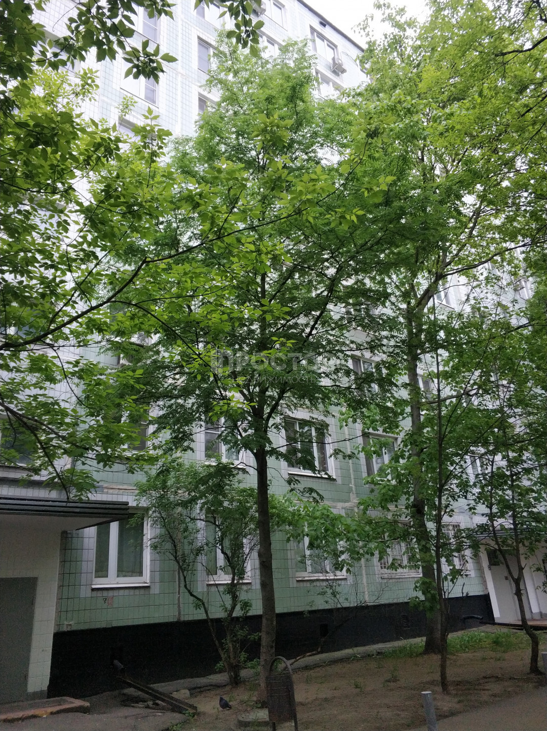 2-комнатная квартира, 45 м² - фото 2