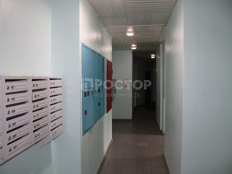 3-комнатная квартира, 88 м² - фото 6