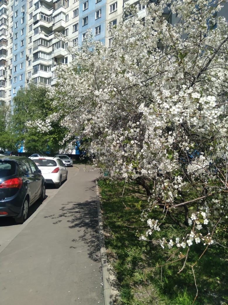 2-комнатная квартира, 54 м² - фото 7