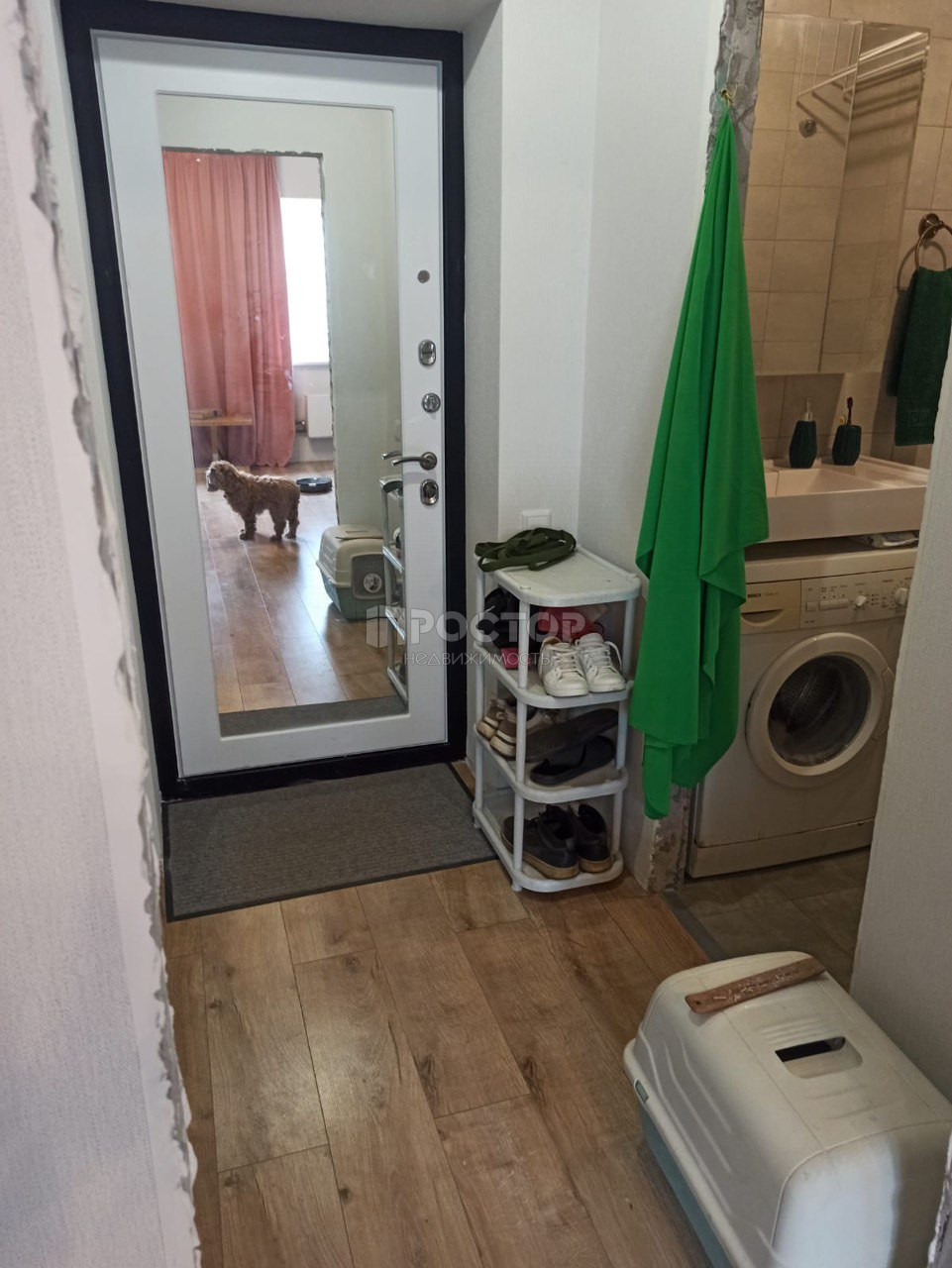 Студия, 29.7 м² - фото 5