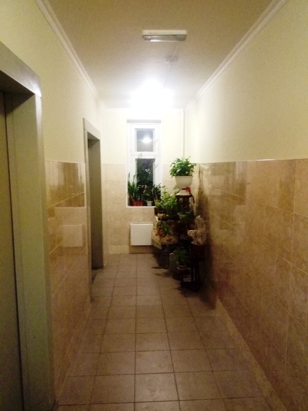 3-комнатная квартира, 76.4 м² - фото 21