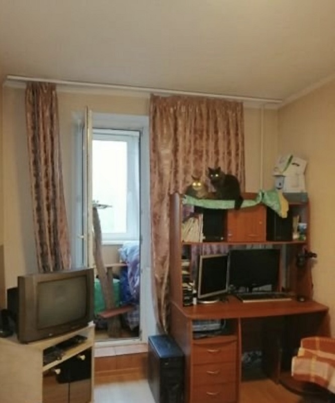 3-комнатная квартира, 77 м² - фото 8