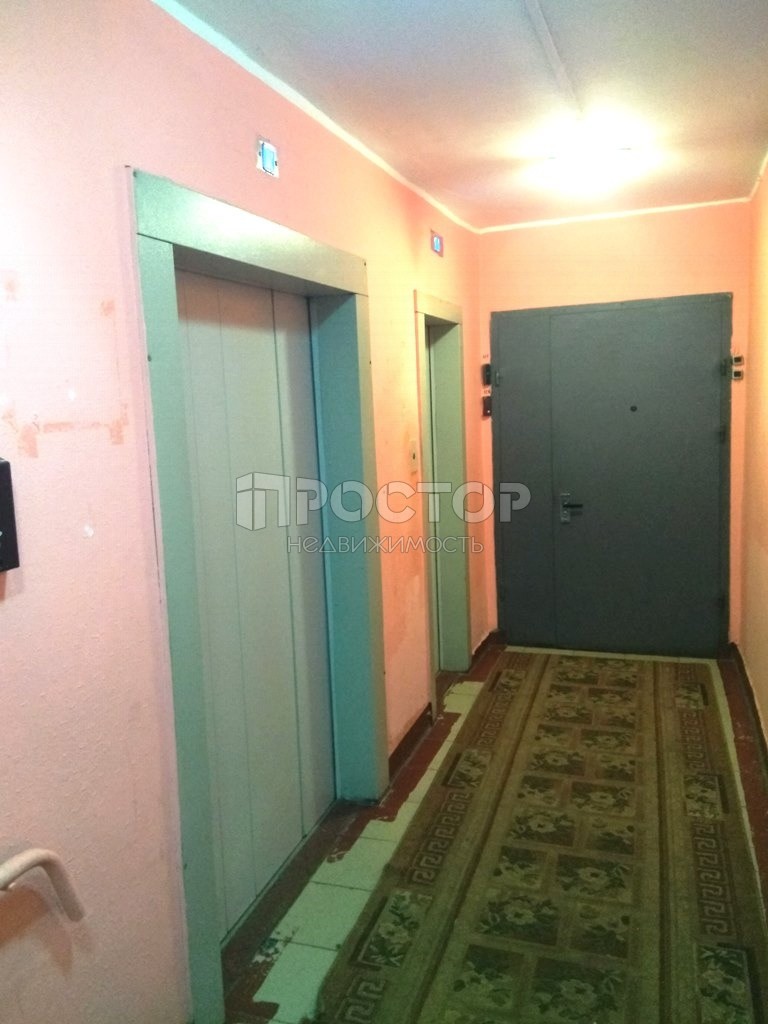 2-комнатная квартира, 55 м² - фото 5