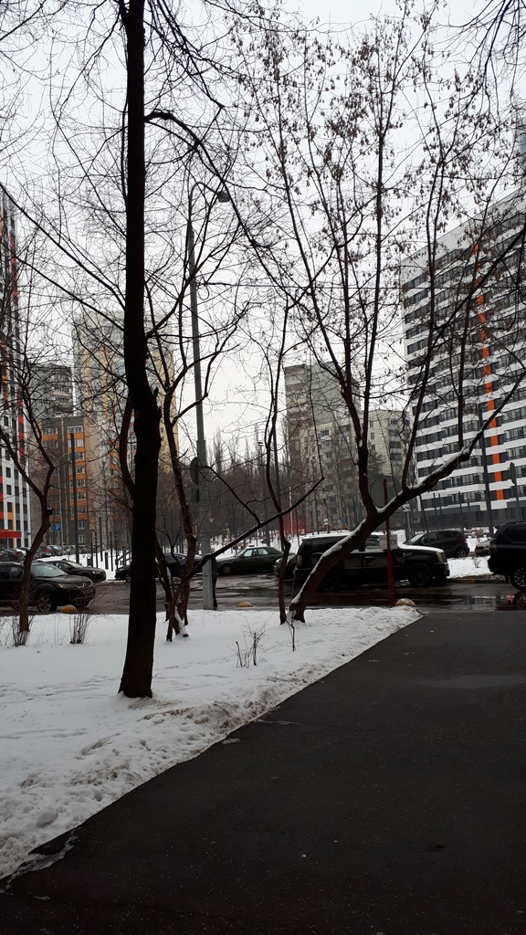 2-комнатная квартира, 37.3 м² - фото 21