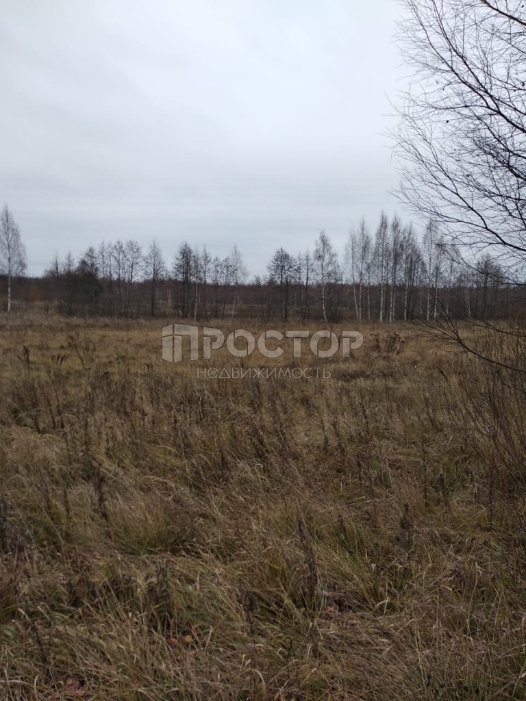 Участок, 4500 сот. - фото 5