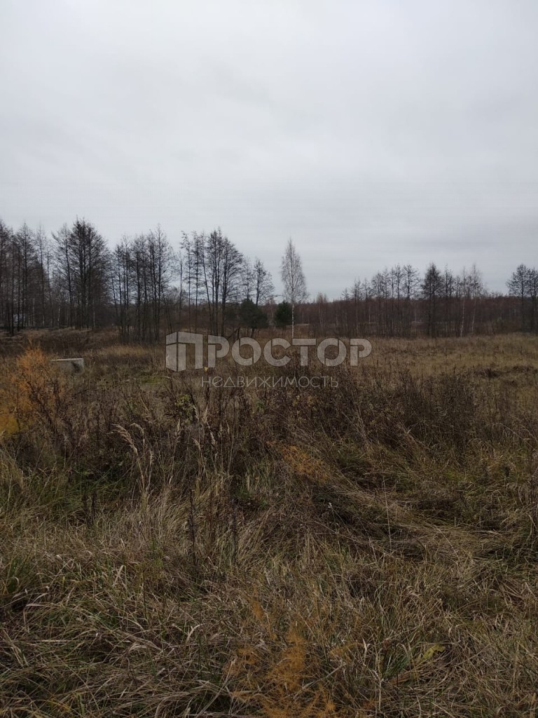 Участок, 4500 сот. - фото 2
