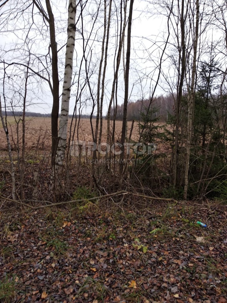 Участок, 4500 сот. - фото 4