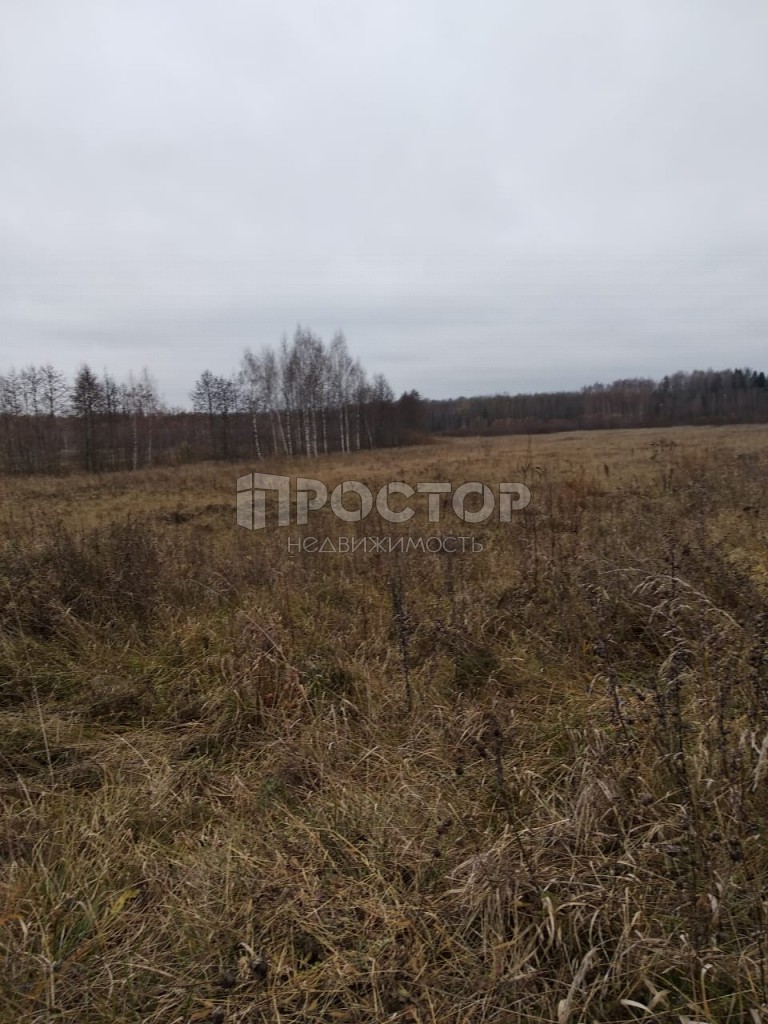 Участок, 4500 сот. - фото 3