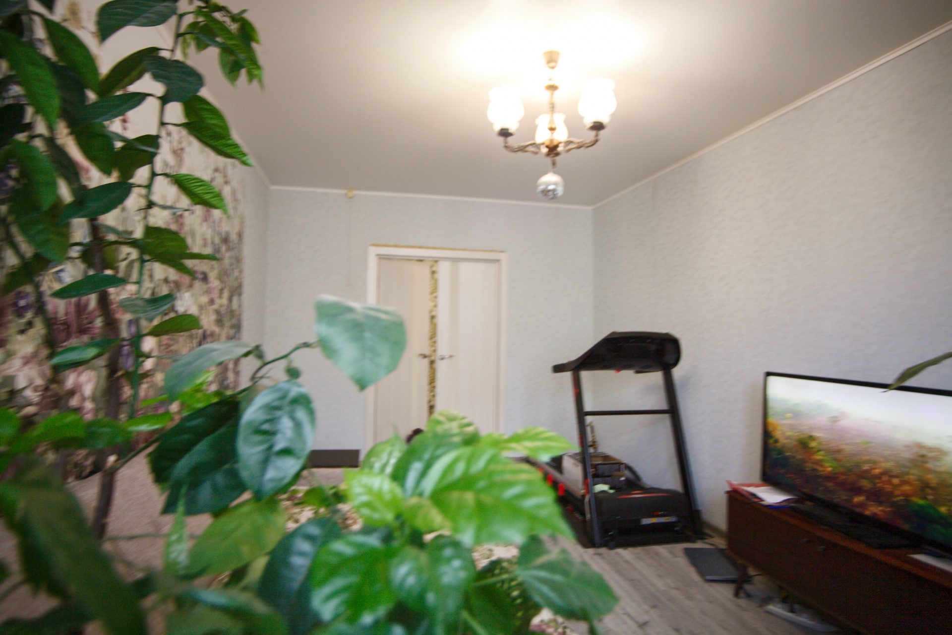 3-комнатная квартира, 73.4 м² - фото 4