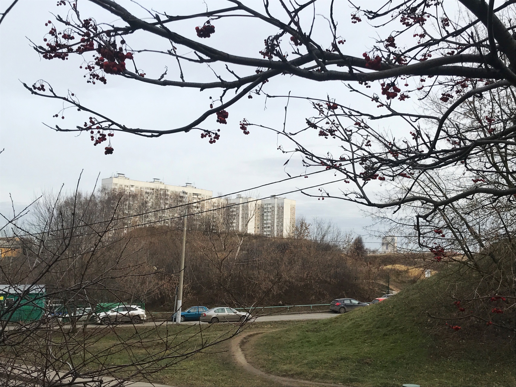 3-комнатная квартира, 73.4 м² - фото 17
