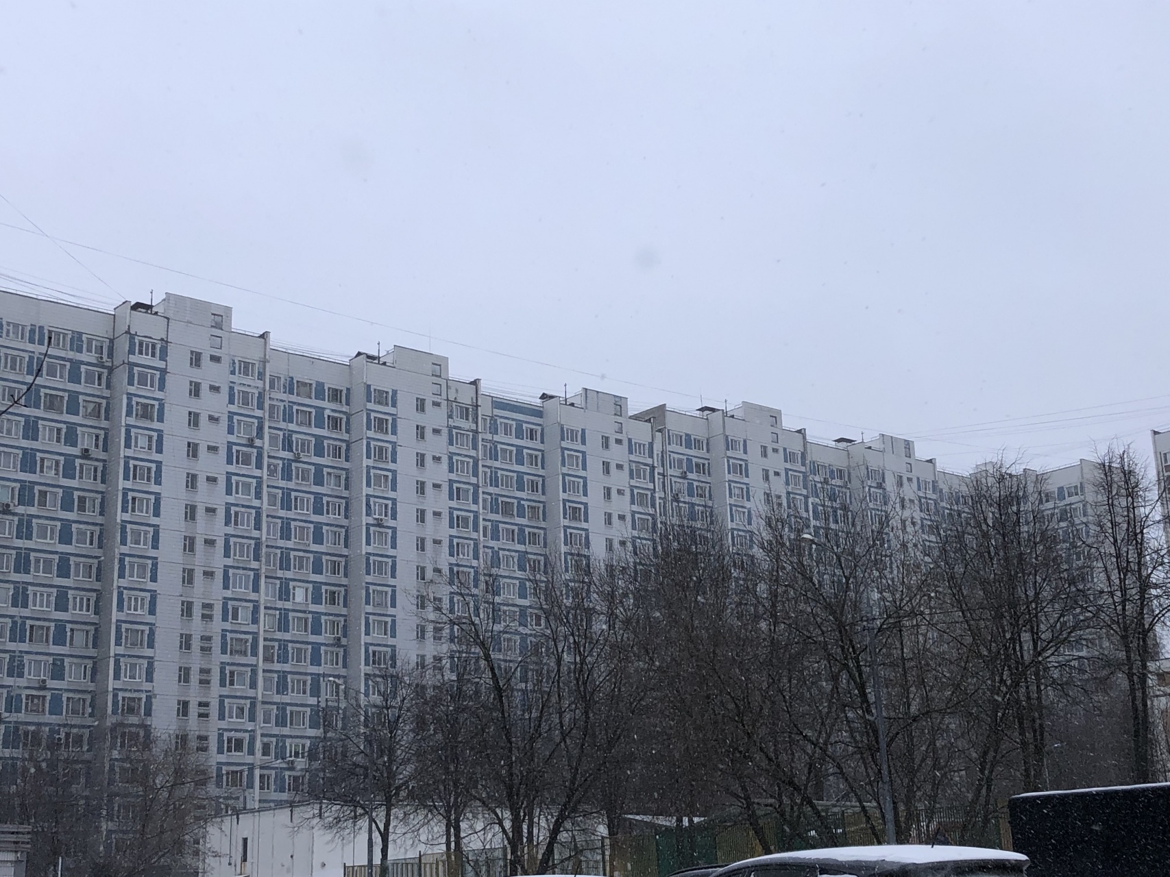2-комнатная квартира, 49.9 м² - фото 3