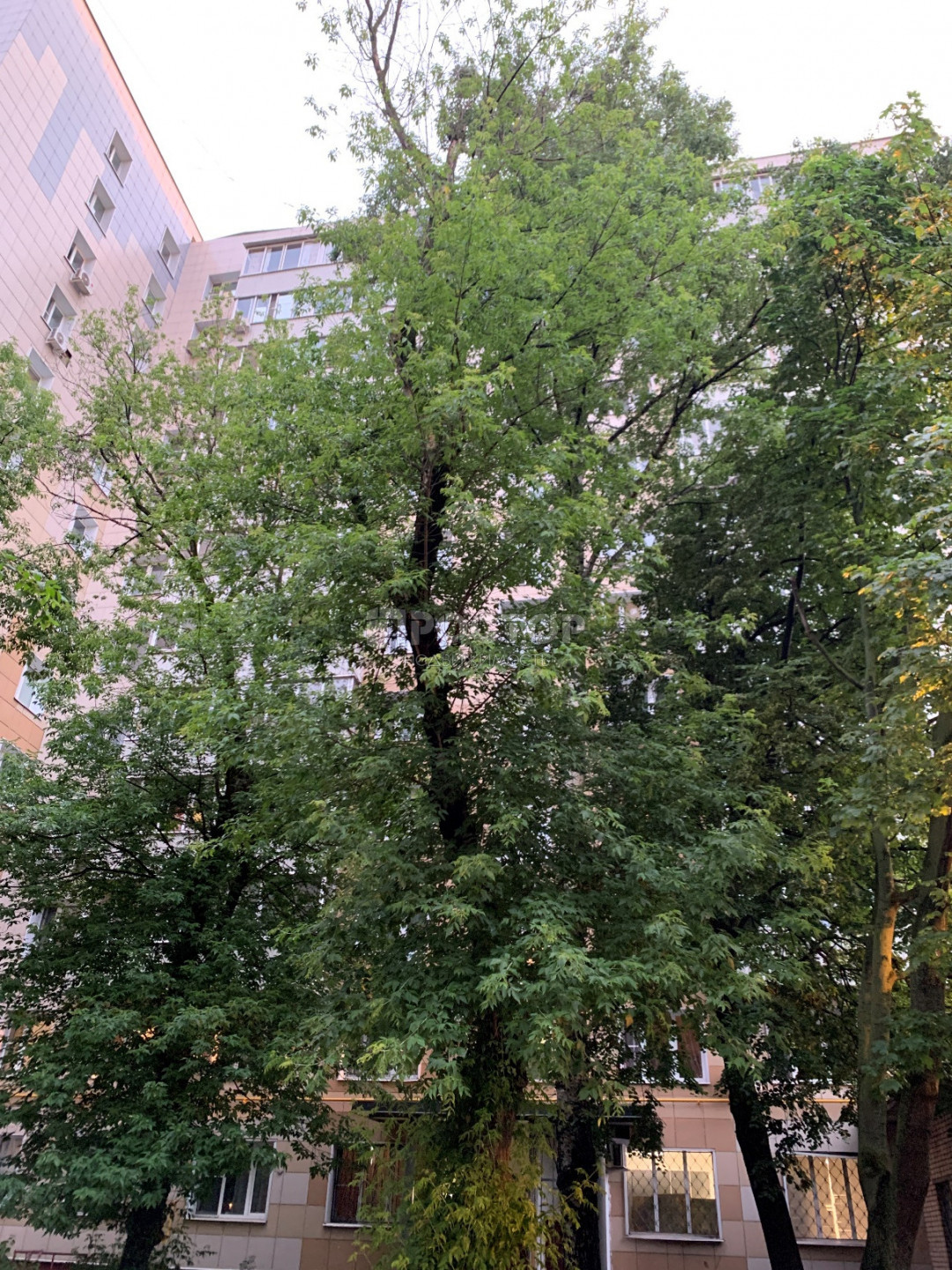 1-комнатная квартира, 35 м² - фото 17