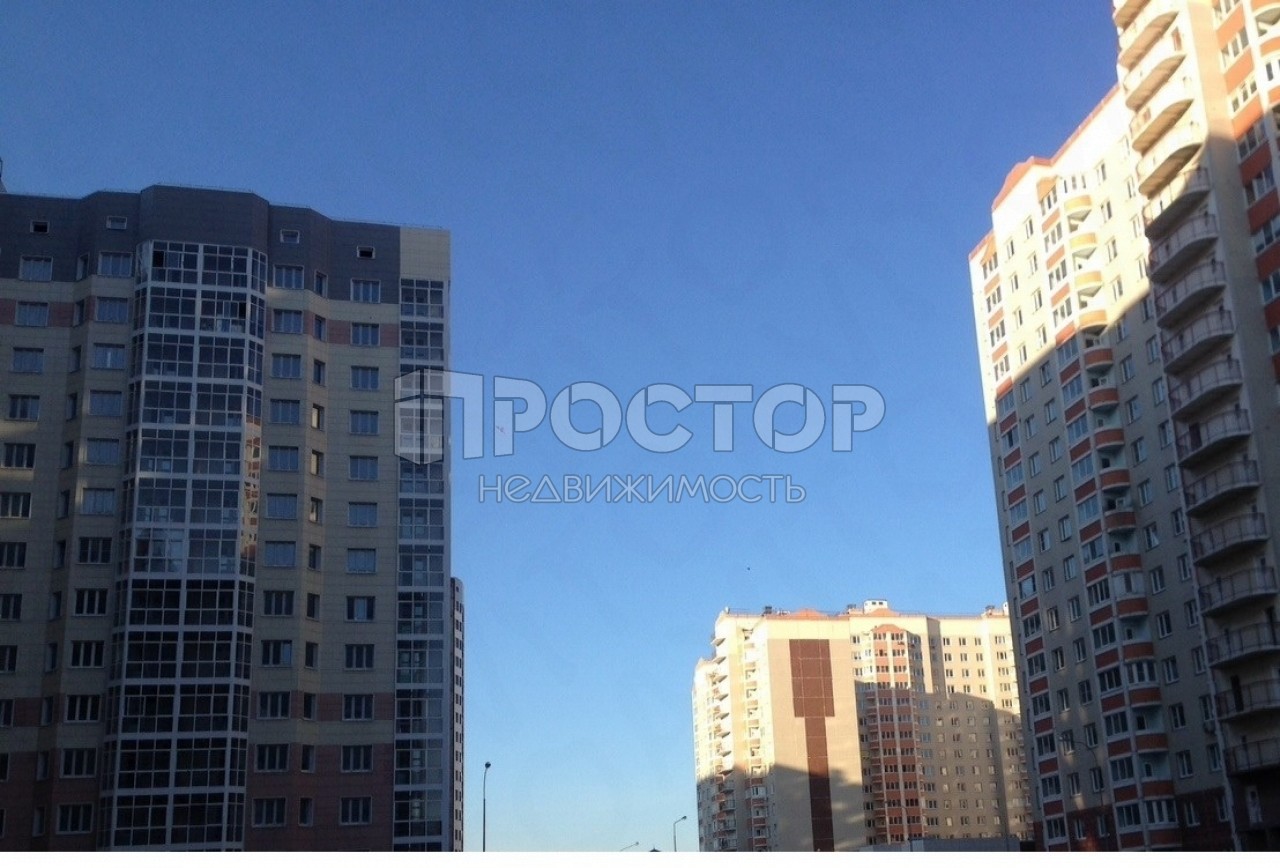 1-комнатная квартира, 53 м² - фото 4