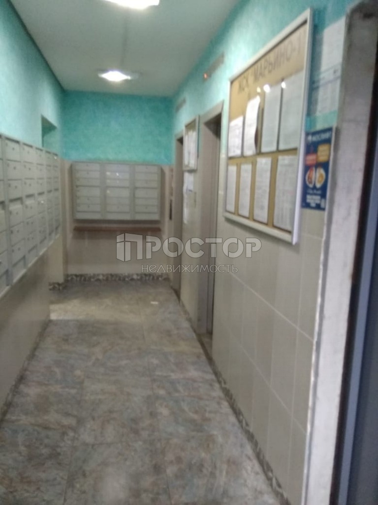 3-комнатная квартира, 74.1 м² - фото 4