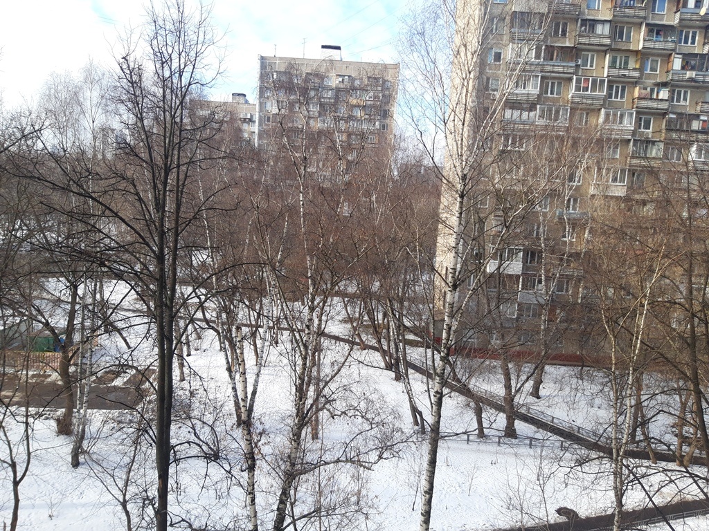 2-комнатная квартира, 45 м² - фото 2