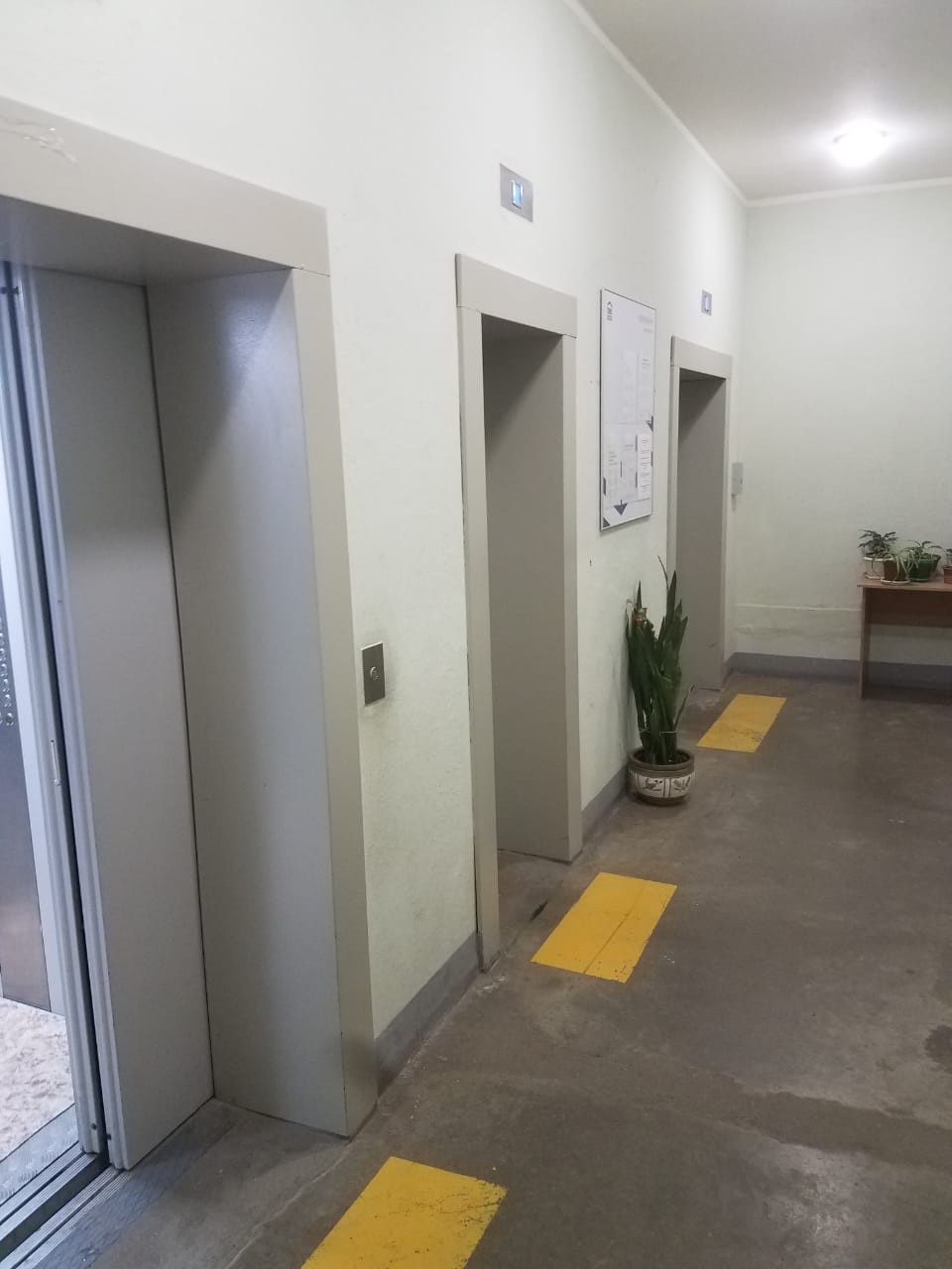3-комнатная квартира, 81 м² - фото 5