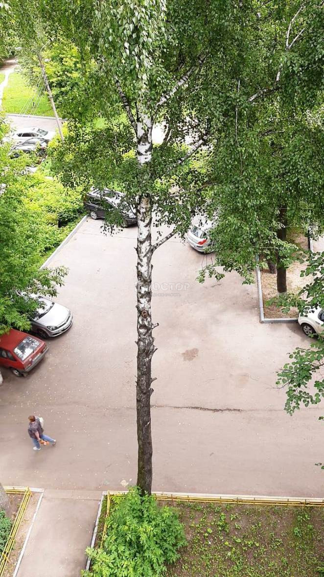3-комнатная квартира, 60.1 м² - фото 33