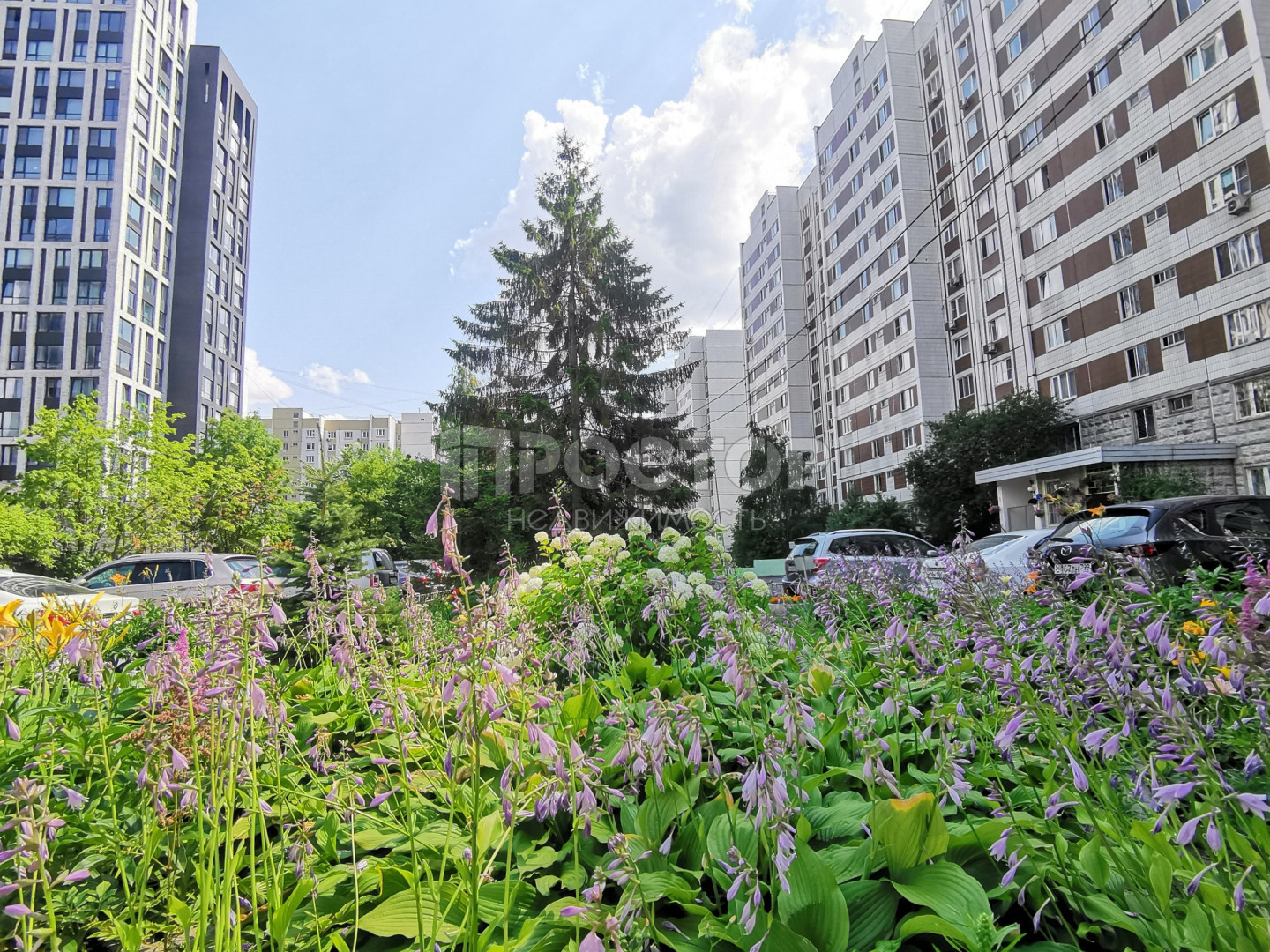 3-комнатная квартира, 74.3 м² - фото 46
