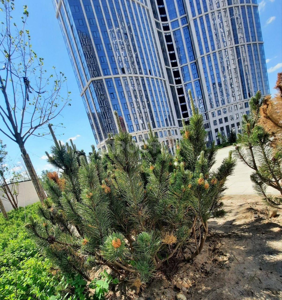 2-комнатная квартира, 65.3 м² - фото 3