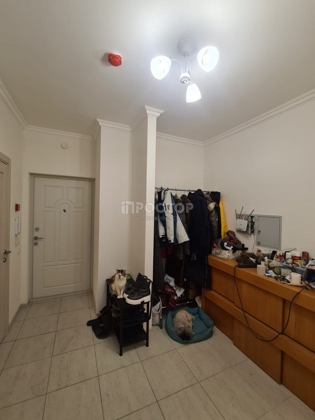 2-комнатная квартира, 61 м² - фото 6