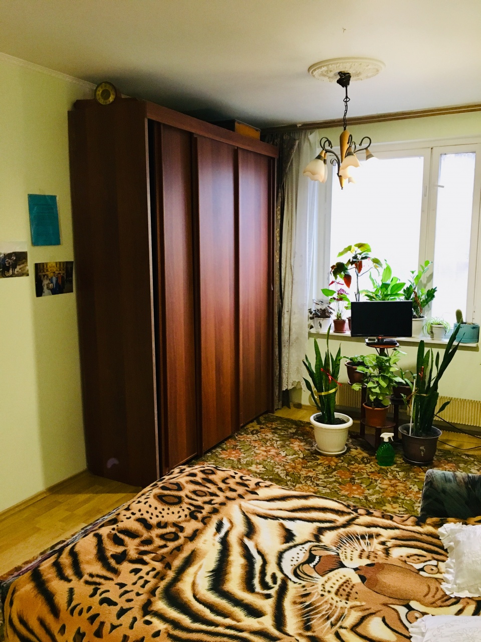 3-комнатная квартира, 52 м² - фото 2