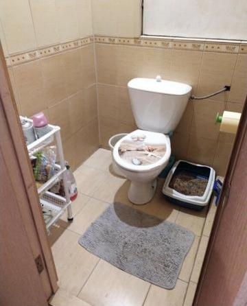 2-комнатная квартира, 54.4 м² - фото 17