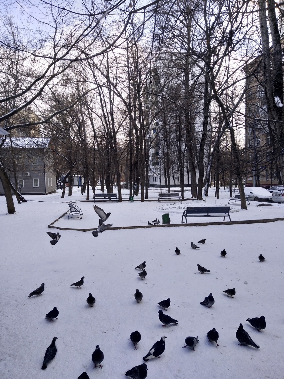 2-комнатная квартира, 59 м² - фото 25