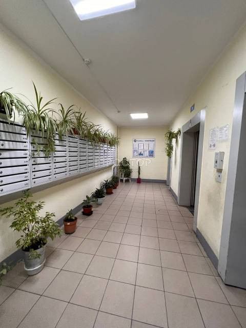 2-комнатная квартира, 61.5 м² - фото 4