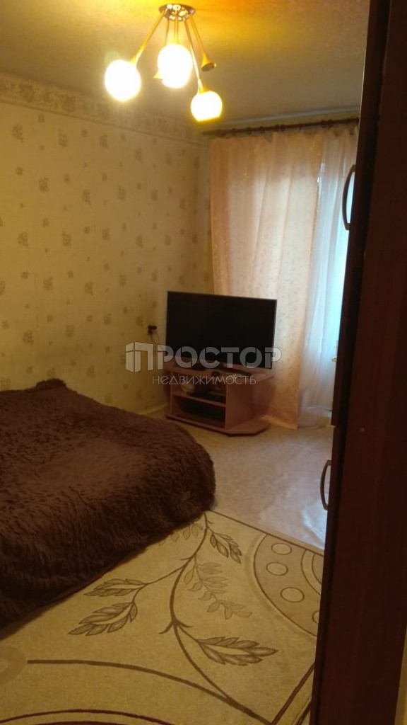 1-комнатная квартира, 31 м² - фото 5