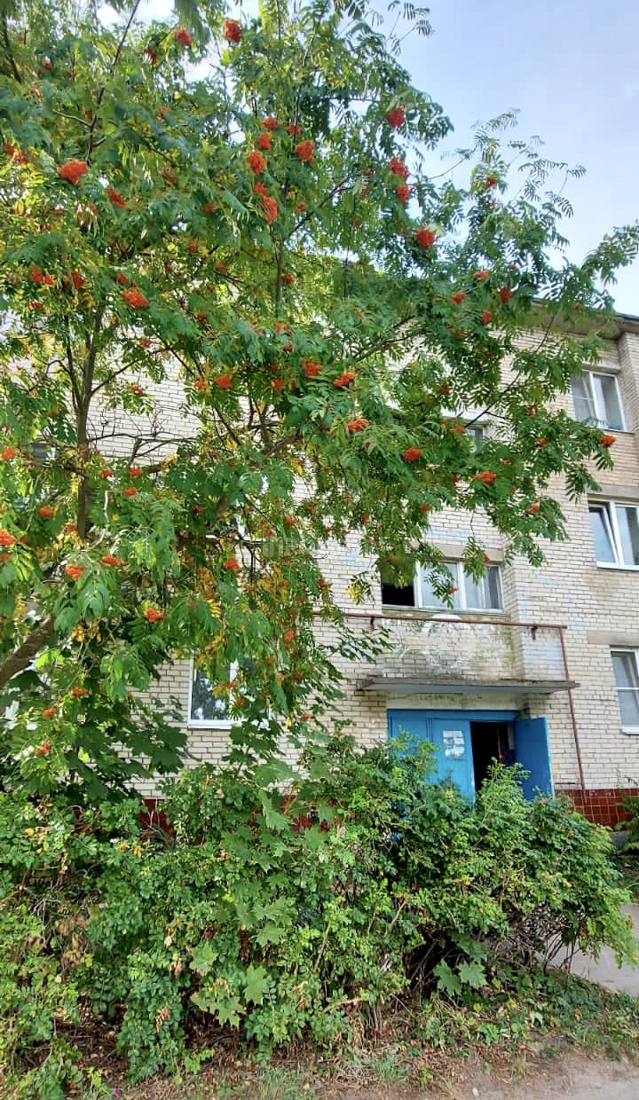 2-комнатная квартира, 42.9 м² - фото 12