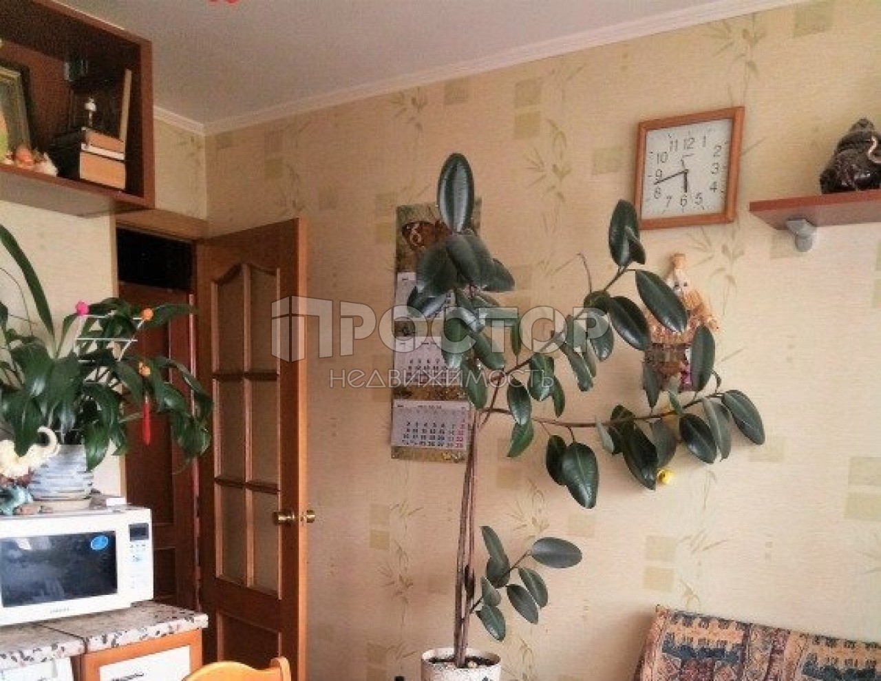 2-комнатная квартира, 50 м² - фото 2