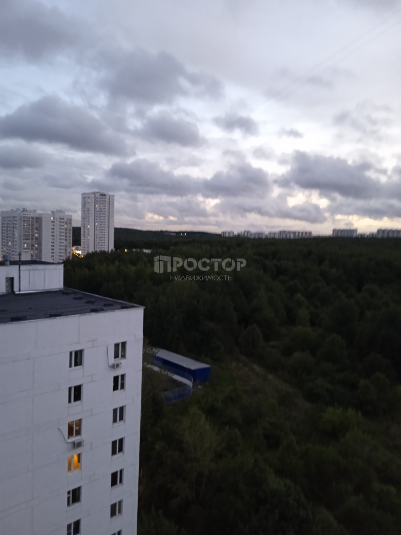 1-комнатная квартира, 34.7 м² - фото 2