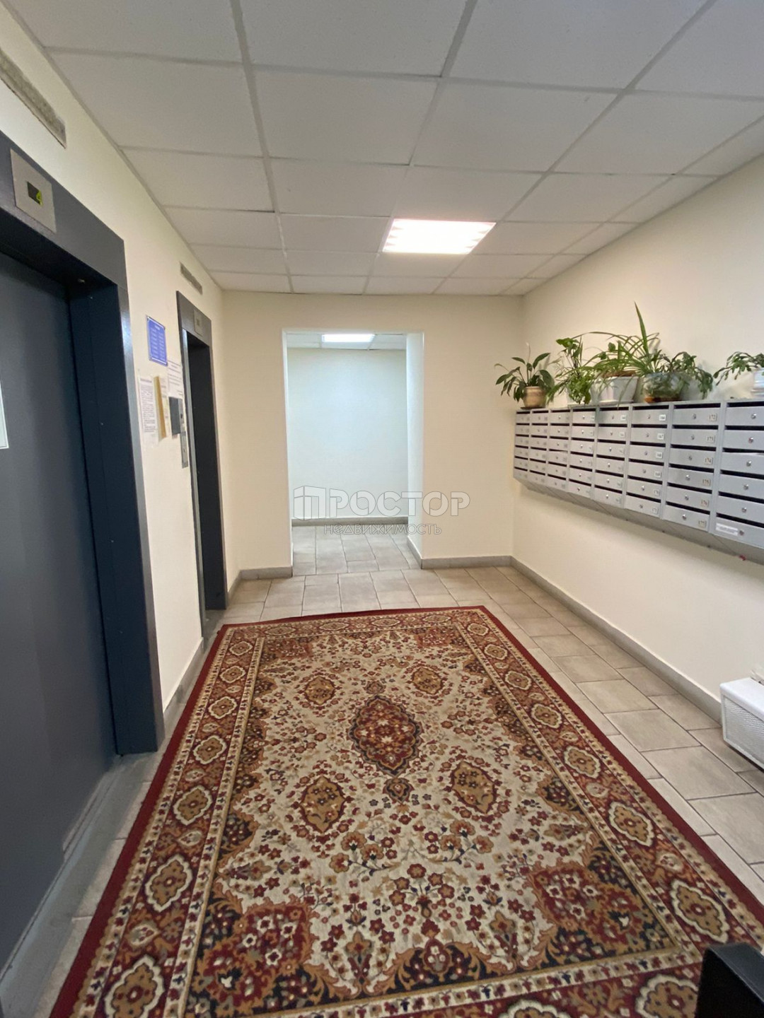 3-комнатная квартира, 72.1 м² - фото 5