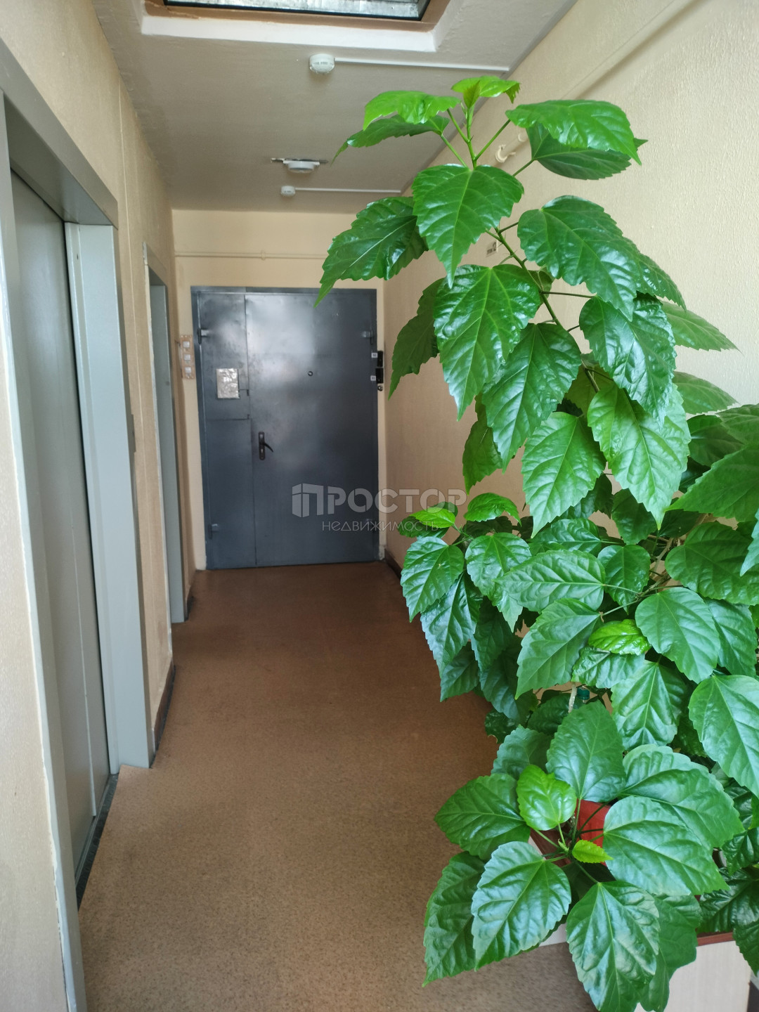 3-комнатная квартира, 76.7 м² - фото 14