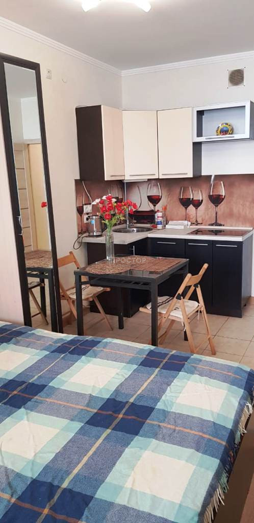 1-комнатная квартира, 28 м² - фото 3