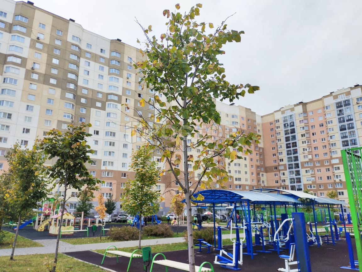 Студия, 28.1 м² - фото 3