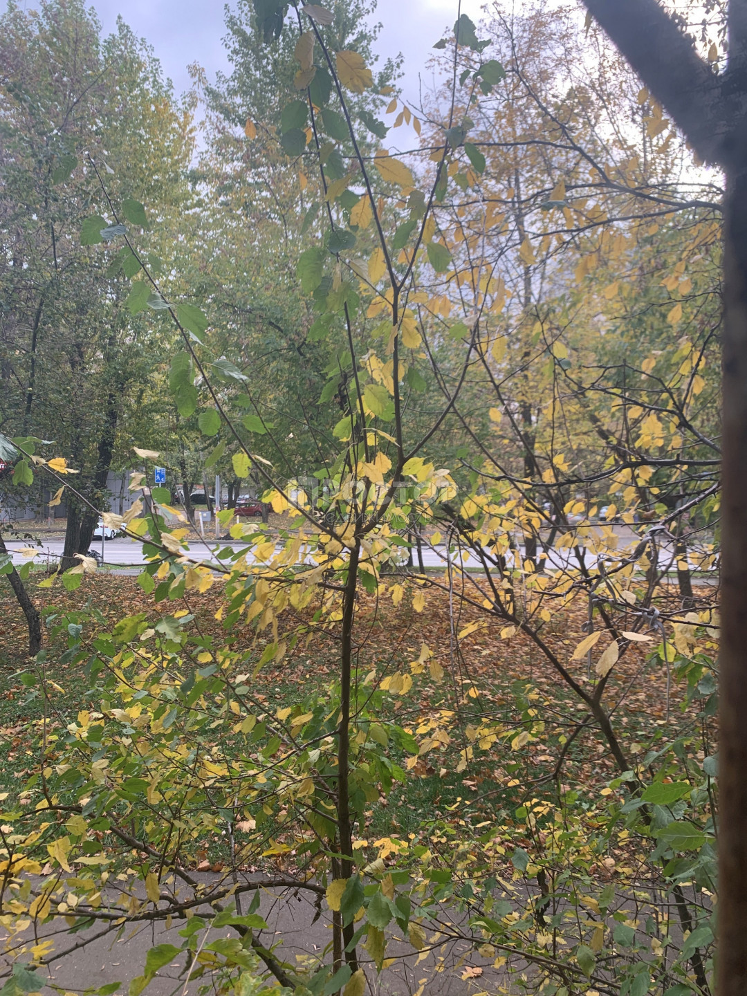 1-комнатная квартира, 29.9 м² - фото 9