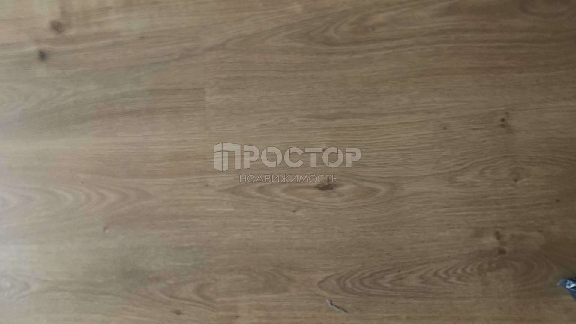 2-комнатная квартира, 50.9 м² - фото 6