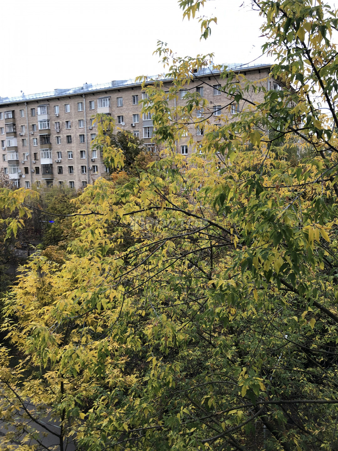 2-комнатная квартира, 58 м² - фото 11