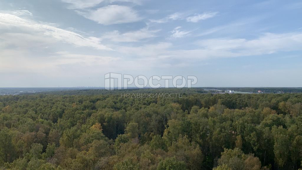 2-комнатная квартира, 51 м² - фото 2