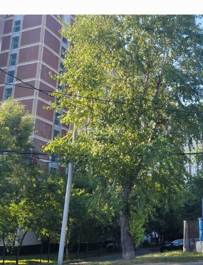 Студия, 13.7 м² - фото 10