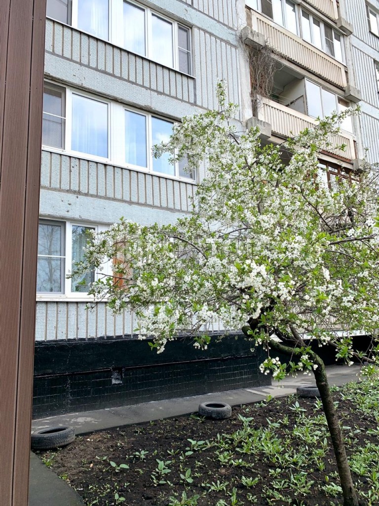 1-комнатная квартира, 35 м² - фото 13