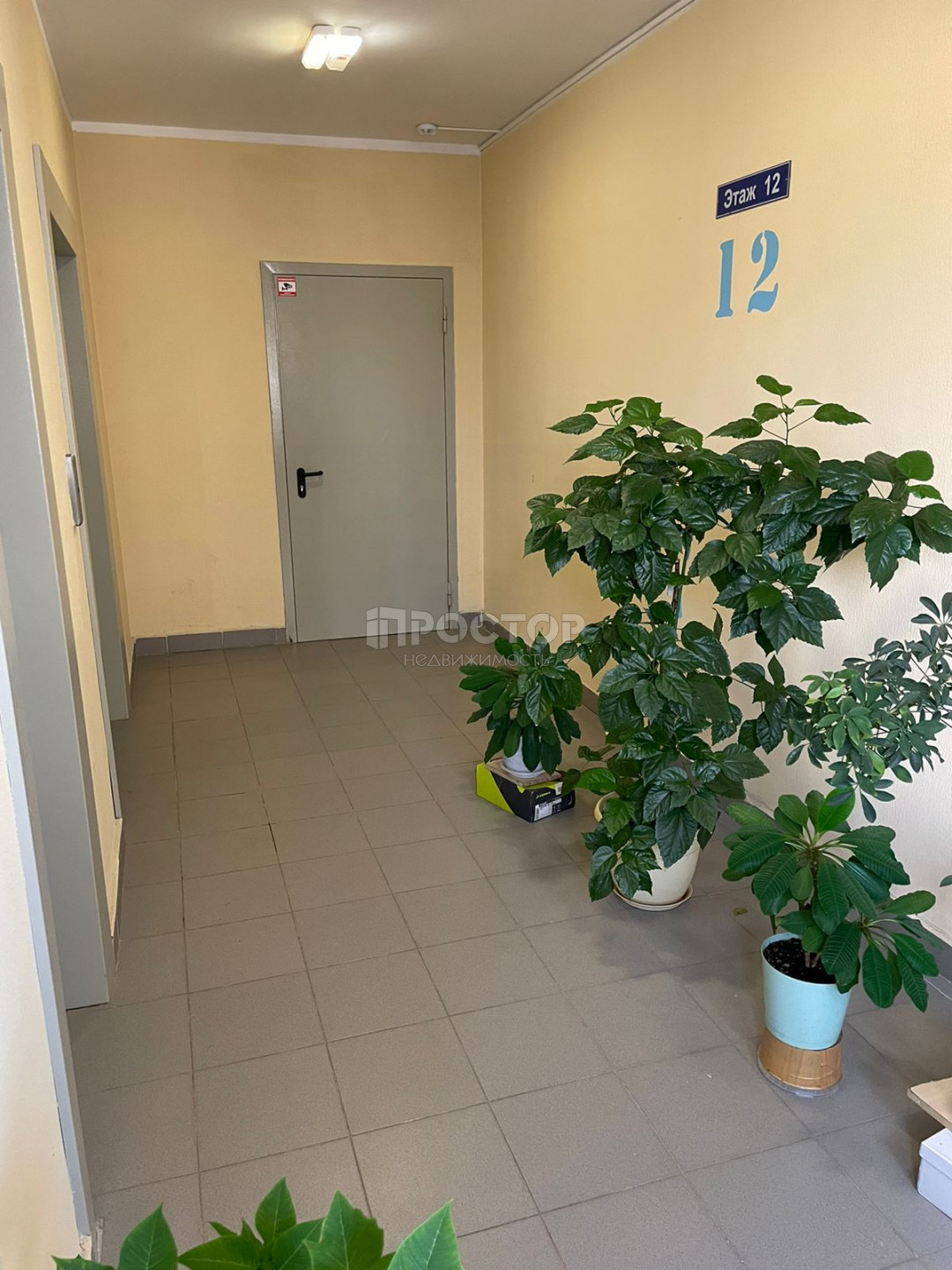 2-комнатная квартира, 52.9 м² - фото 19