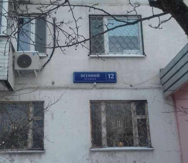 Фото квартиры
