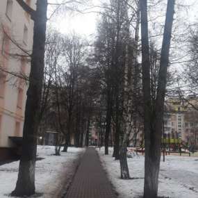 Фото квартиры