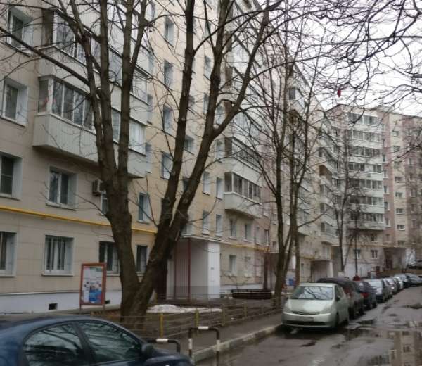 Фото квартиры