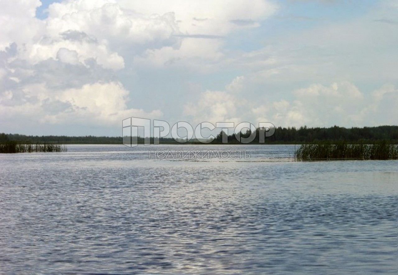 Участок, 390 сот. - фото 4