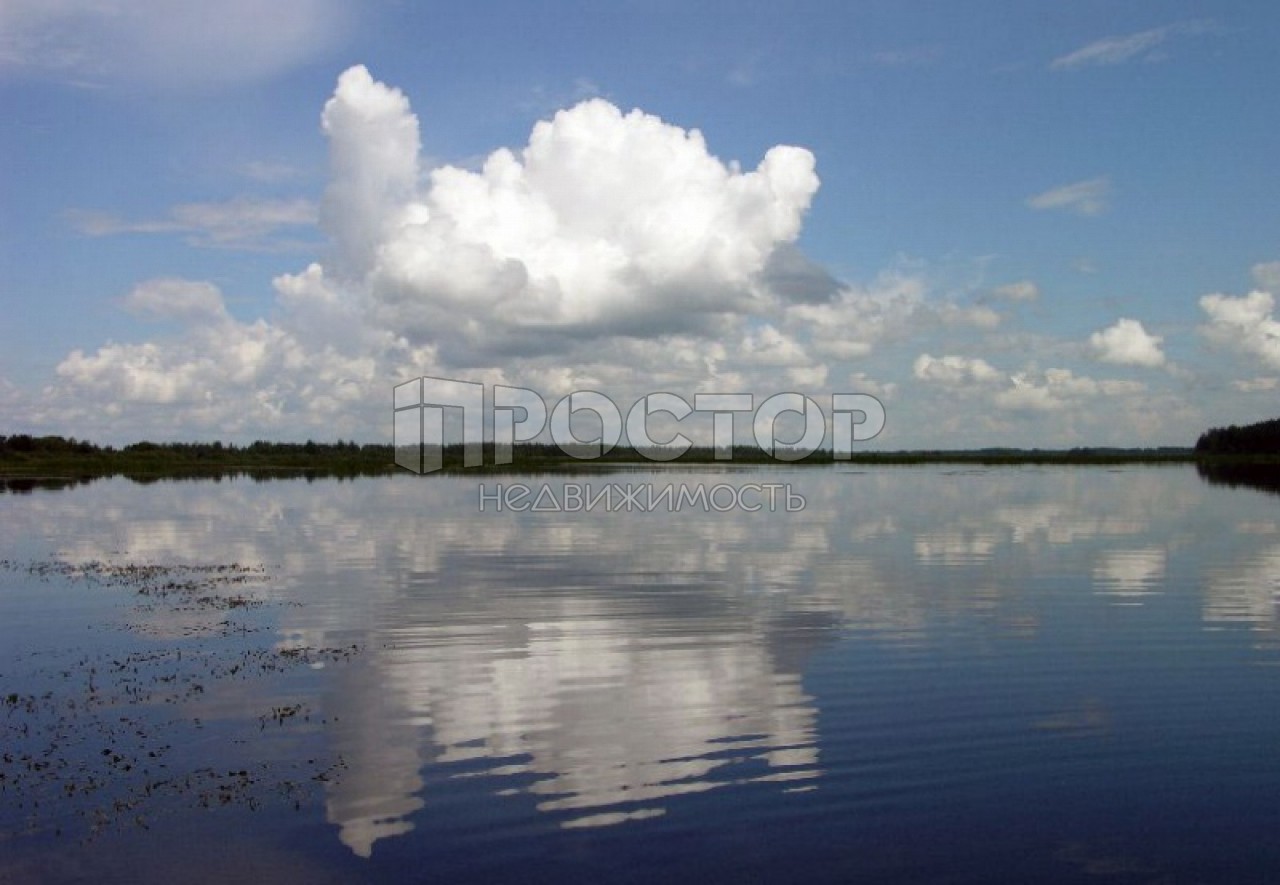 Участок, 390 сот. - фото 6