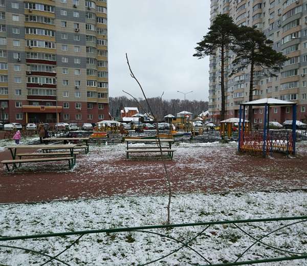 Фото квартиры
